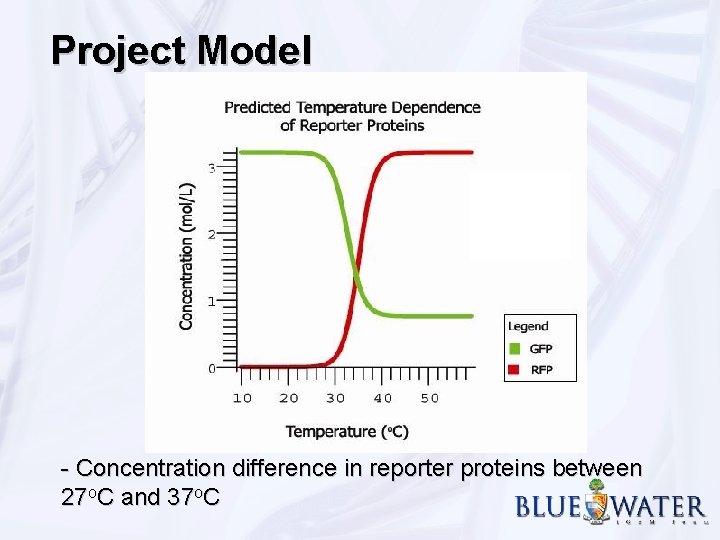 Project Model - Concentration difference in reporter proteins between 27 o. C and 37