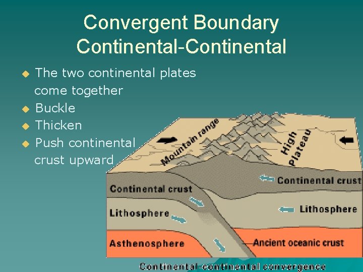 Convergent Boundary Continental-Continental u u The two continental plates come together Buckle Thicken Push