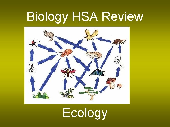 Biology HSA Review Ecology 
