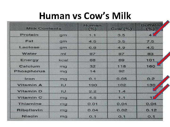 Human vs Cow’s Milk 