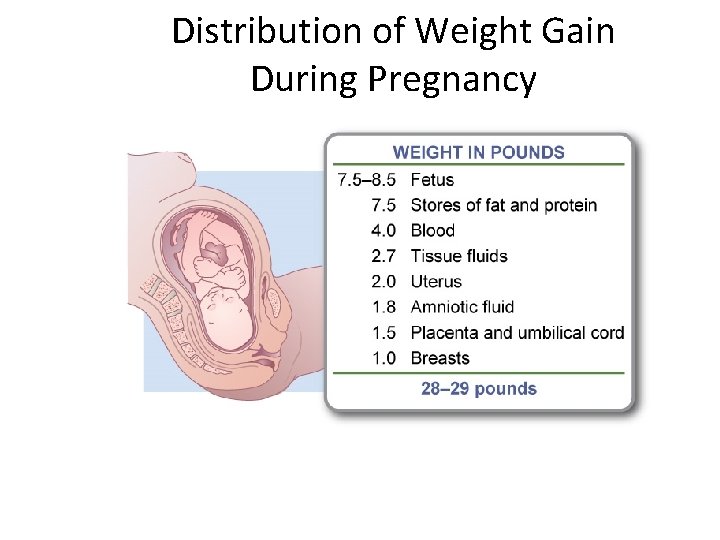 Distribution of Weight Gain During Pregnancy 