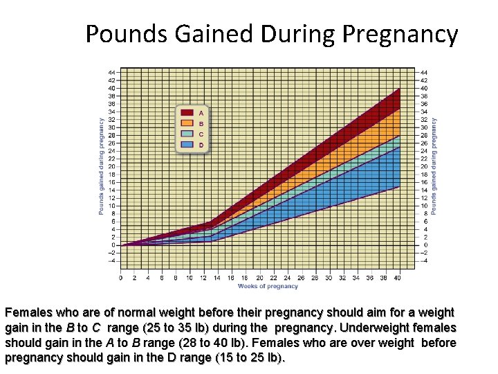 Pounds Gained During Pregnancy Females who are of normal weight before their pregnancy should