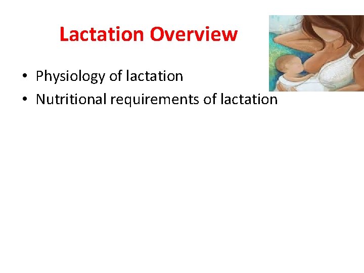 Lactation Overview • Physiology of lactation • Nutritional requirements of lactation 