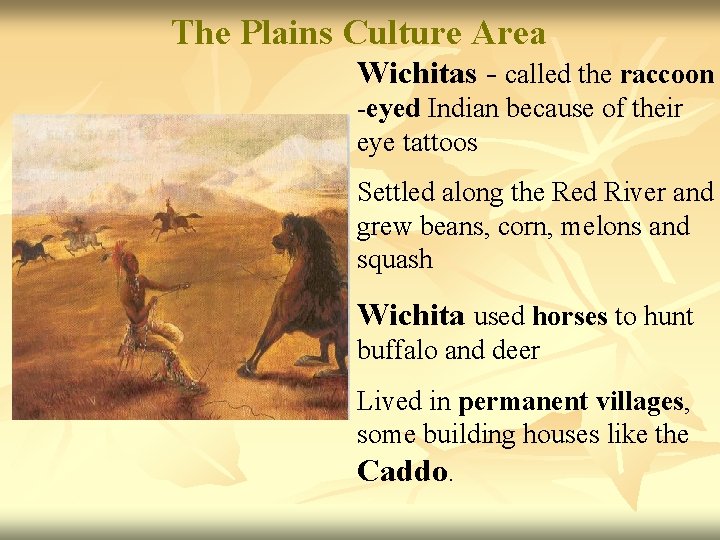 The Plains Culture Area Wichitas - called the raccoon -eyed Indian because of their