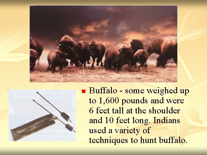 n Buffalo - some weighed up to 1, 600 pounds and were 6 feet