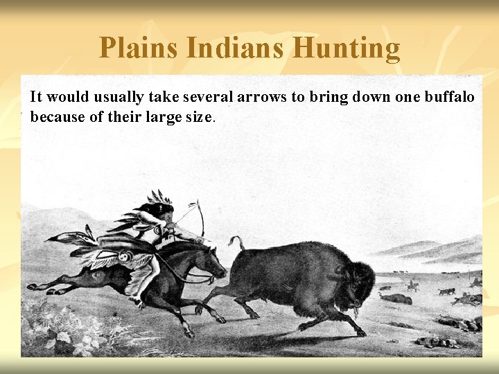 Plains Indians Hunting It would usually take several arrows to bring down one buffalo