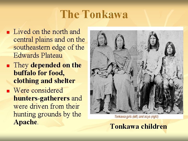 The Tonkawa n n n Lived on the north and central plains and on