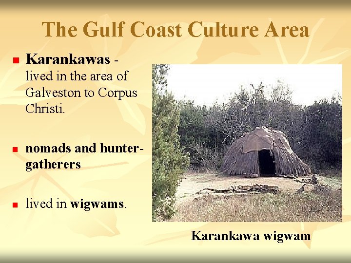 The Gulf Coast Culture Area n Karankawas lived in the area of Galveston to