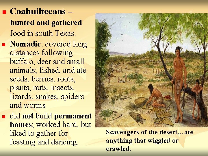 n n n Coahuiltecans – hunted and gathered food in south Texas. Nomadic: covered