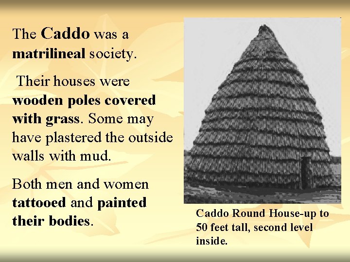 The Caddo was a matrilineal society. Their houses were wooden poles covered with grass.