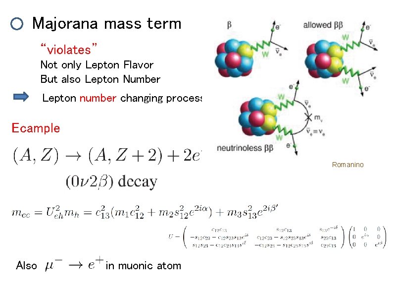 Majorana mass term “violates” Not only Lepton Flavor But also Lepton Number Lepton number