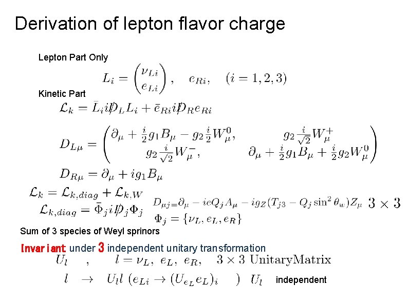 Derivation of lepton flavor charge Lepton Part Only Kinetic Part Sum of 3 species