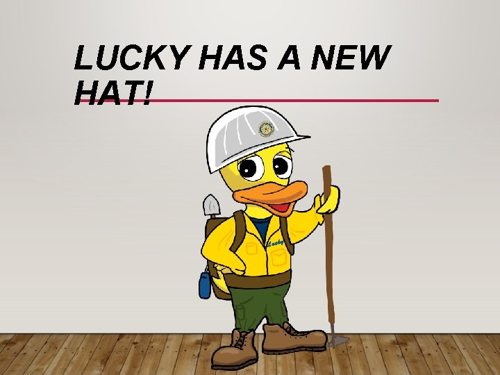 LUCKY HAS A NEW HAT! 