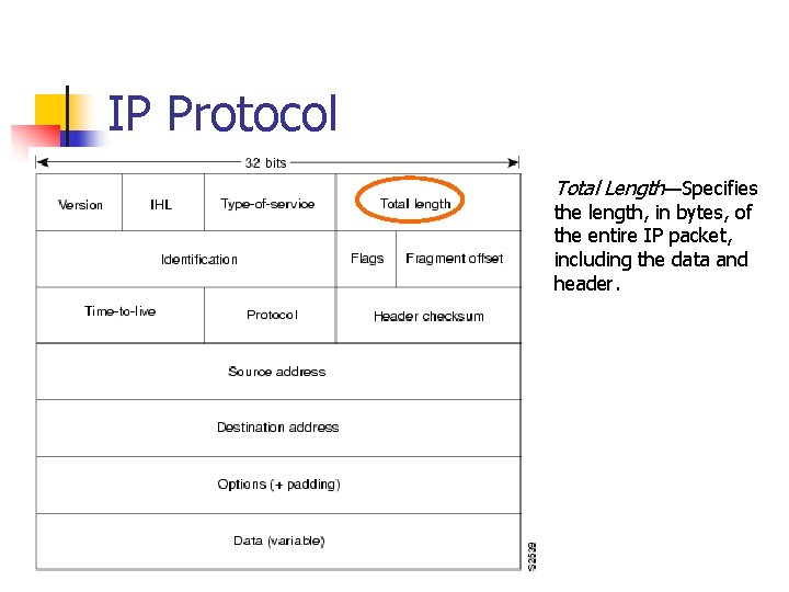 IP Protocol Total Length—Specifies the length, in bytes, of the entire IP packet, including