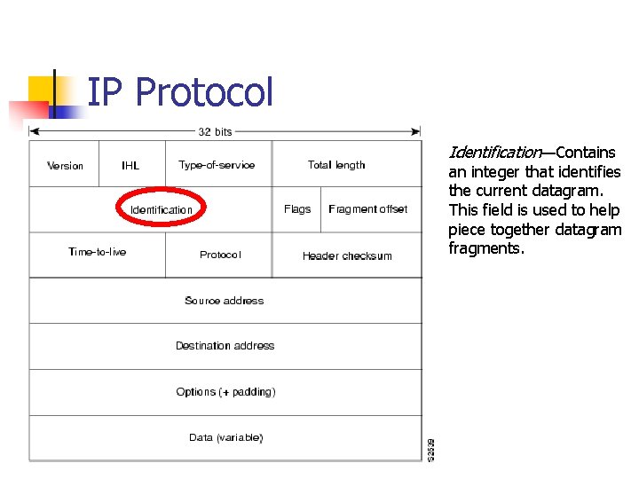 IP Protocol Identification—Contains an integer that identifies the current datagram. This field is used