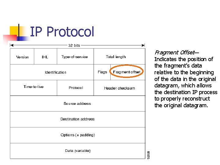 IP Protocol Fragment Offset— Indicates the position of the fragment's data relative to the