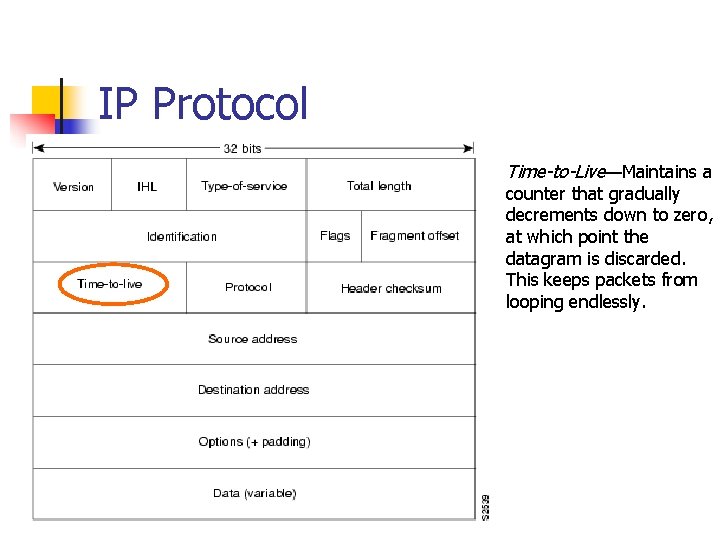 IP Protocol Time-to-Live—Maintains a counter that gradually decrements down to zero, at which point