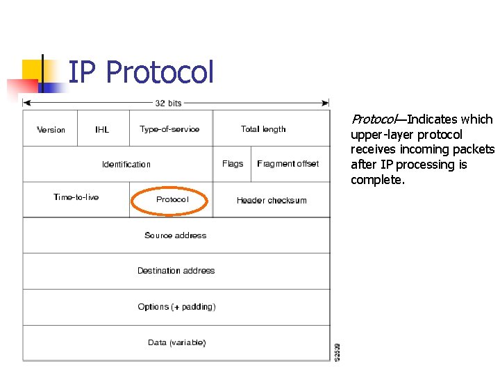 IP Protocol—Indicates which upper-layer protocol receives incoming packets after IP processing is complete. 