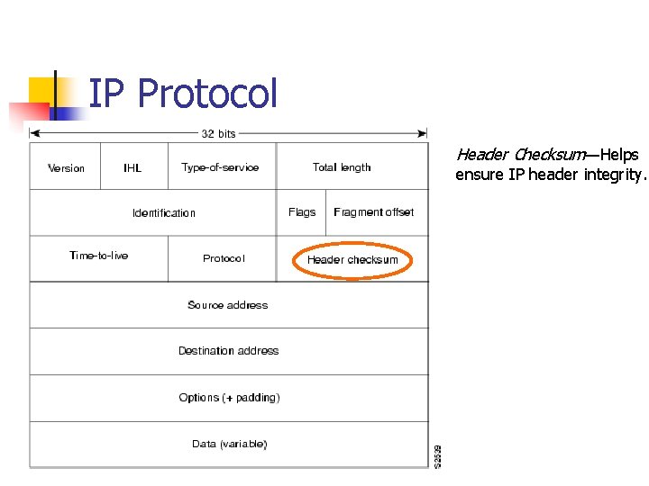 IP Protocol Header Checksum—Helps ensure IP header integrity. 