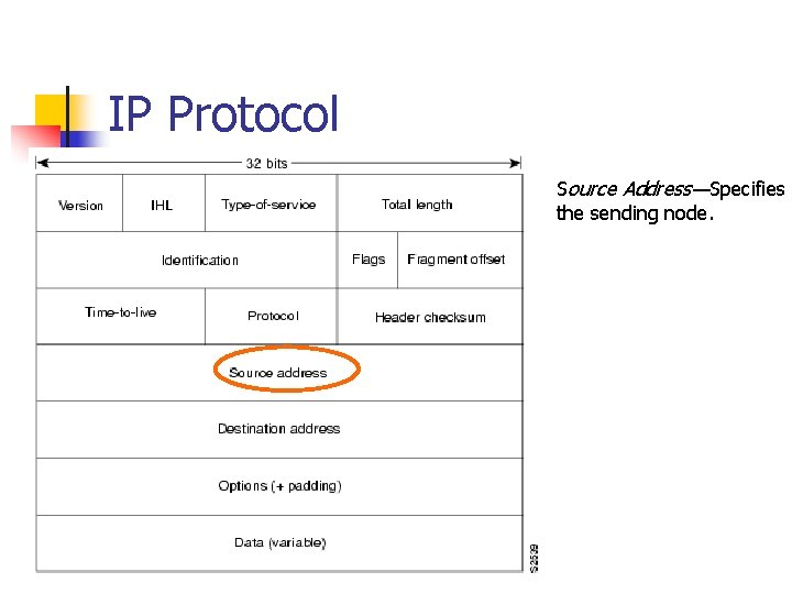 IP Protocol Source Address—Specifies the sending node. 