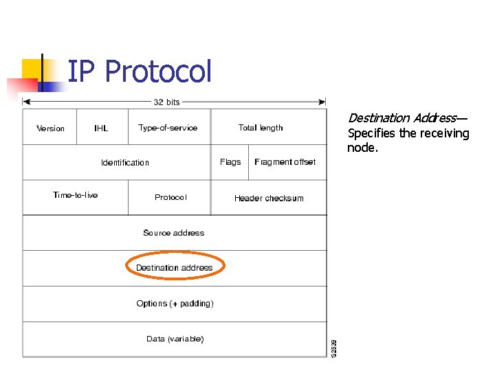 IP Protocol Destination Address— Specifies the receiving node. 