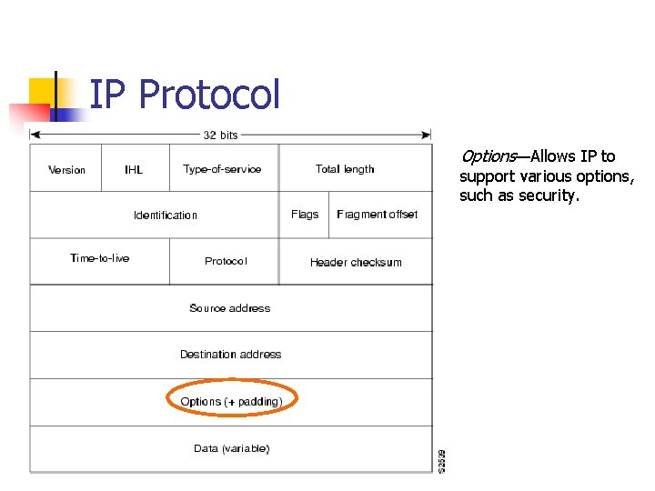 IP Protocol Options—Allows IP to support various options, such as security. 