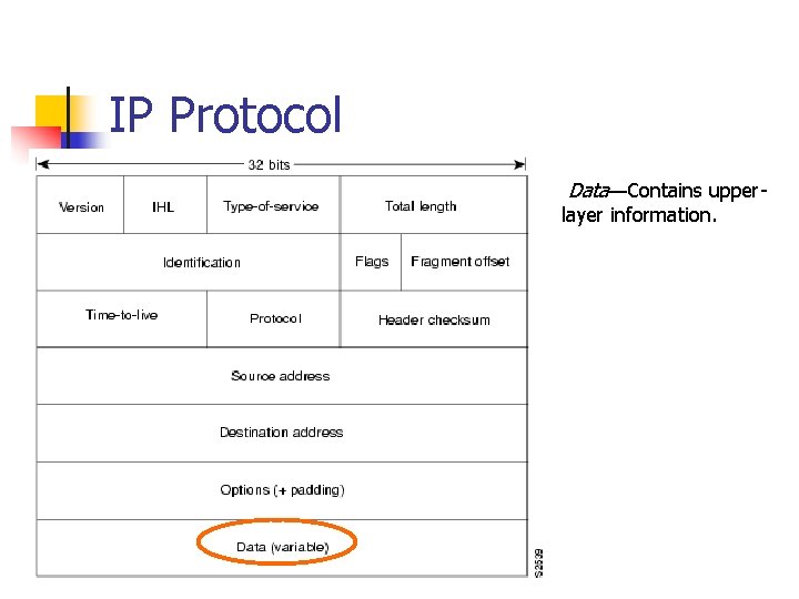 IP Protocol Data—Contains upper- layer information. 