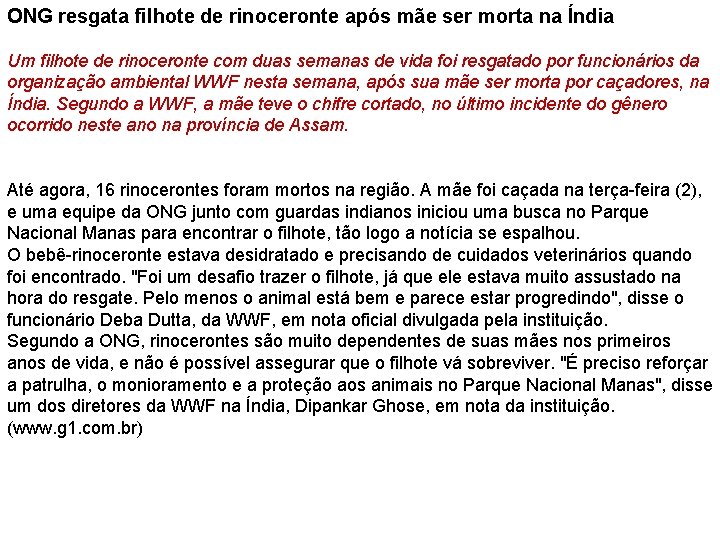 ONG resgata filhote de rinoceronte após mãe ser morta na Índia Um filhote de