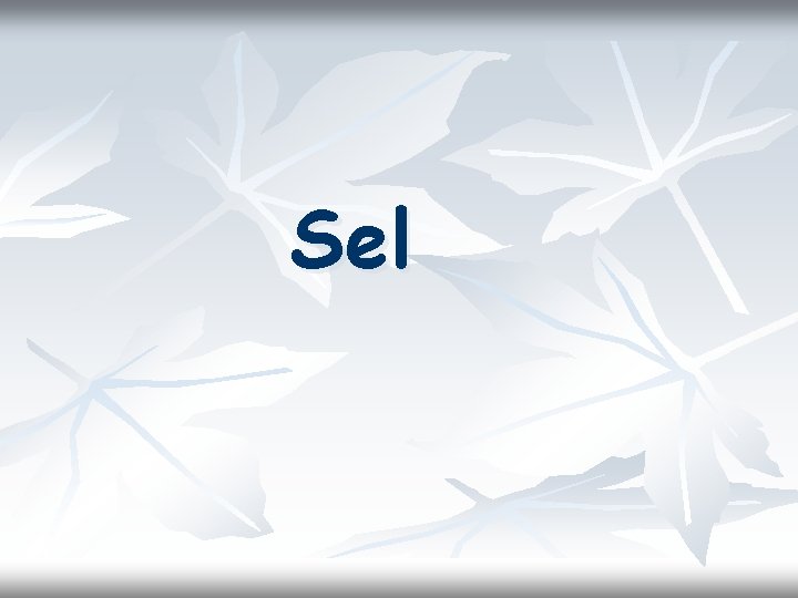 Sel Sel