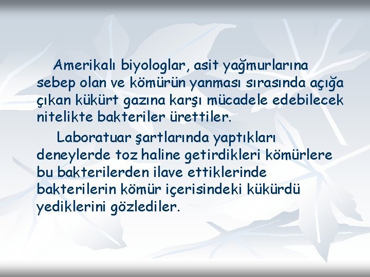 Amerikalı biyologlar, asit yağmurlarına sebep olan ve kömürün yanması sırasında açığa çıkan kükürt gazına Amerikalı biyologlar, asit yağmurlarına sebep olan ve kömürün yanması sırasında açığa çıkan kükürt gazına