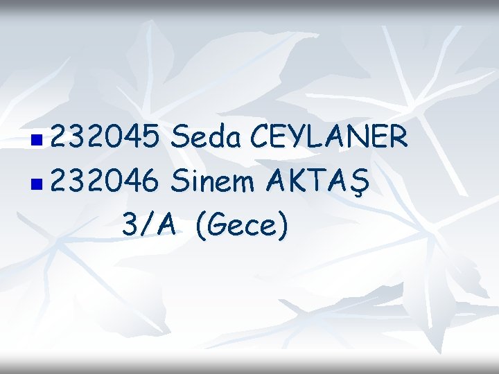 232045 Seda CEYLANER n 232046 Sinem AKTAŞ 3/A (Gece) n 