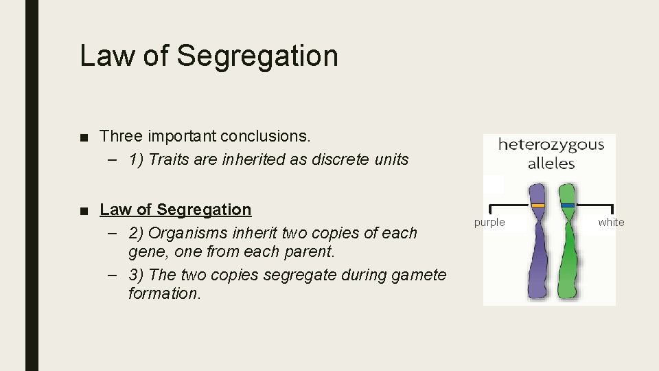 Law of Segregation ■ Three important conclusions. – 1) Traits are inherited as discrete