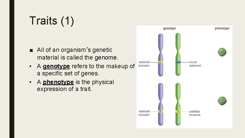 Traits (1) ■ All of an organism’s genetic material is called the genome. •