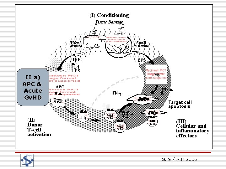 (I) Conditioning Graft-versus-Host disease Tissue Damage Physiopathology II a) APC & Acute Gv. HD