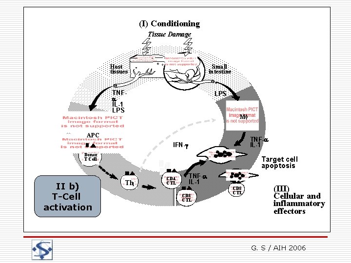 (I) Conditioning Graft-versus-Host disease Tissue Damage Physiopathology Host tissues Small intestine TNF IL-1 LPS