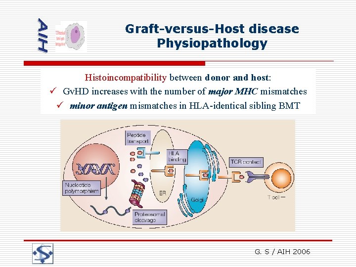 Graft-versus-Host disease Physiopathology Histoincompatibility between donor and host: ü Gv. HD increases with the