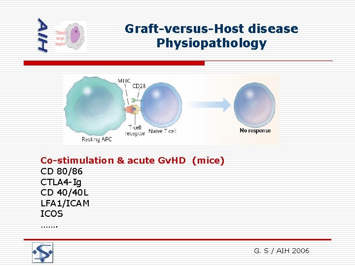 Graft-versus-Host disease Physiopathology Co-stimulation & acute Gv. HD (mice) CD 80/86 CTLA 4 -Ig