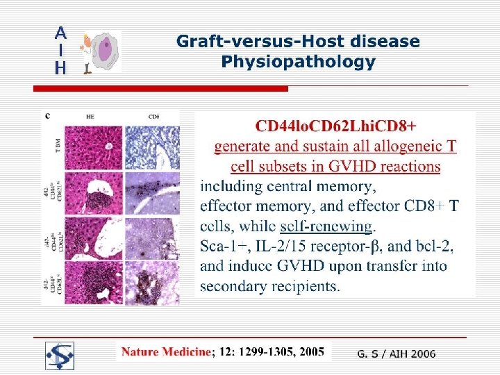 Graft-versus-Host disease Physiopathology G. S / AIH 2006 