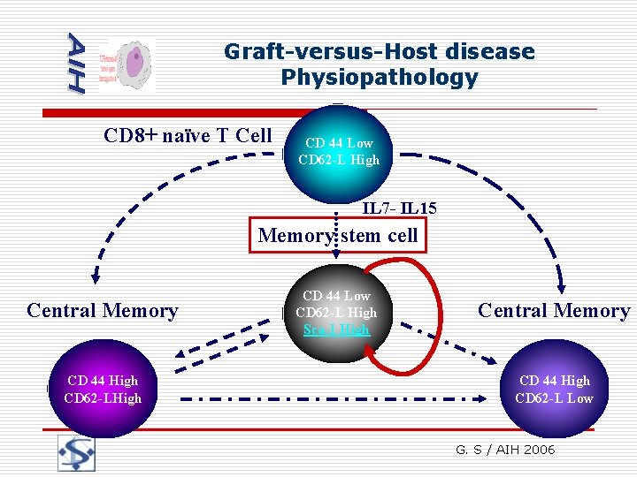 Graft-versus-Host disease Physiopathology CD 8+ naïve T Cell CD 44 Low CD 62 -L