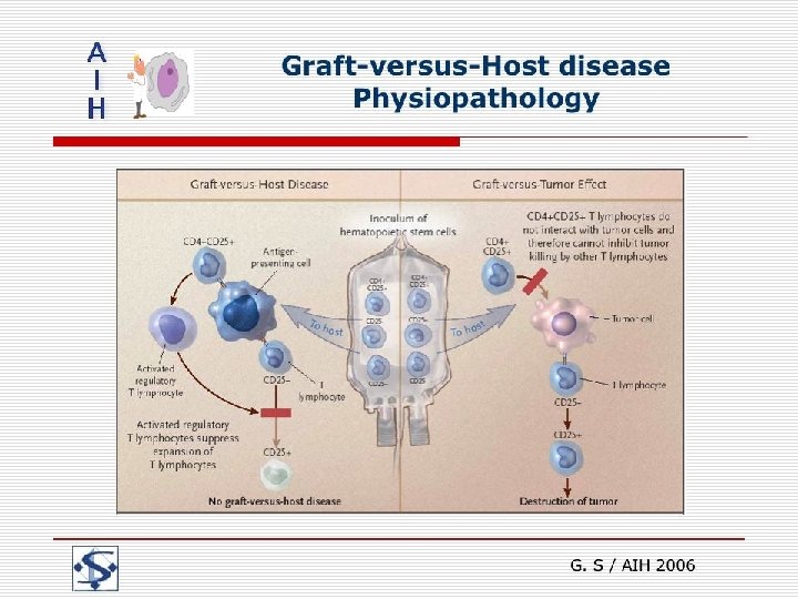 Graft-versus-Host disease Physiopathology G. S / AIH 2006 