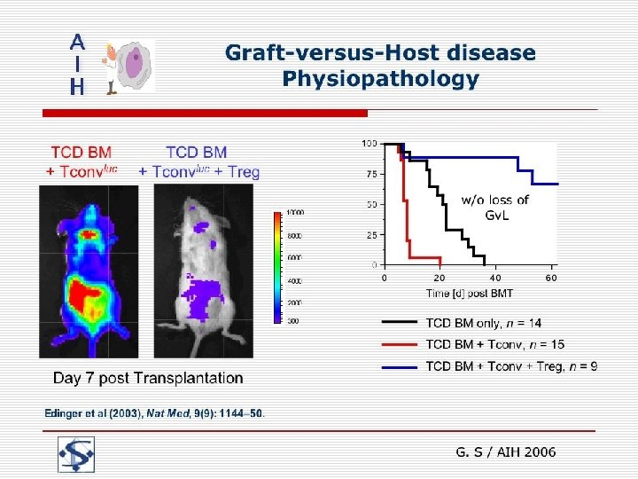 Graft-versus-Host disease Physiopathology G. S / AIH 2006 