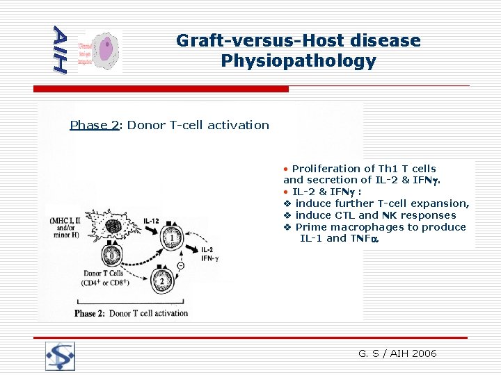 Graft-versus-Host disease Physiopathology Phase 2: Donor T-cell activation • Proliferation of Th 1 T