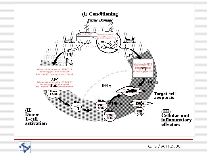 (I) Conditioning Graft-versus-Host disease Tissue Damage Physiopathology Host tissues Small intestine TNF IL-1 LPS