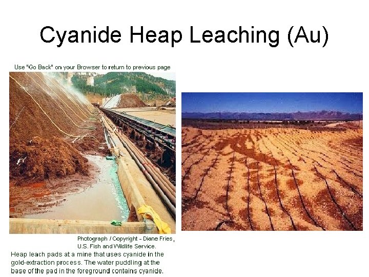 Cyanide Heap Leaching (Au) 