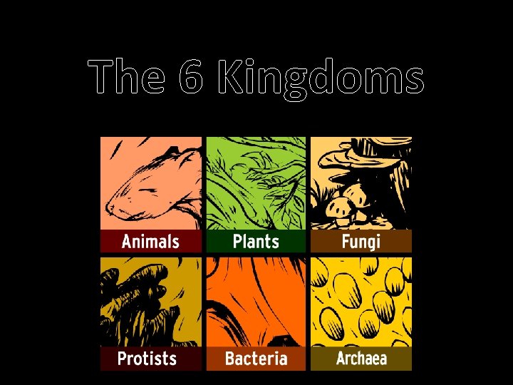 The 6 Kingdoms 