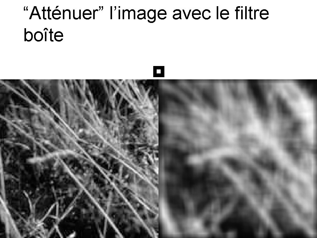 “Atténuer” l’image avec le filtre boîte 