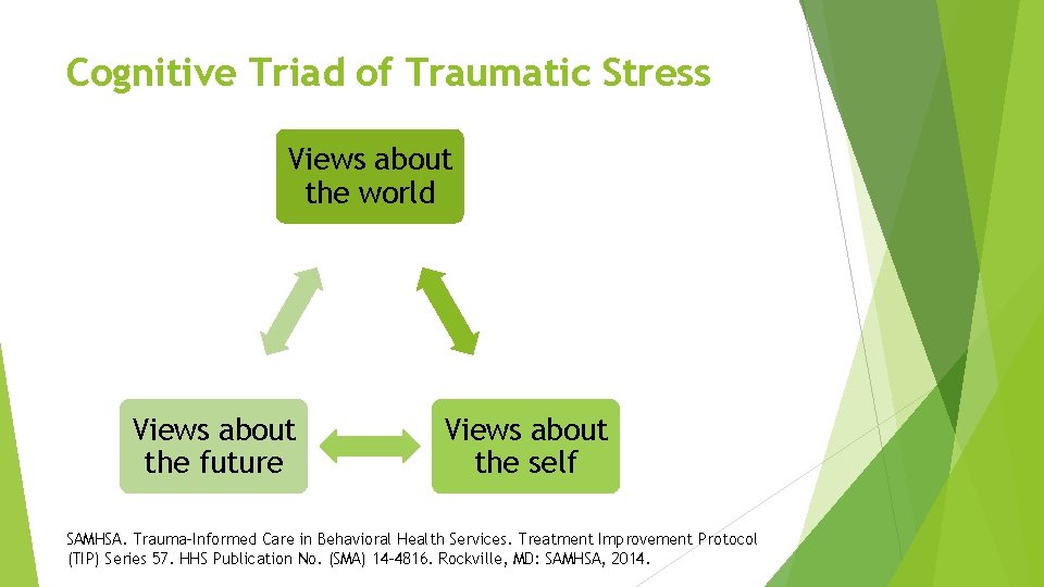 Cognitive Triad of Traumatic Stress Views about the world Views about the future Views