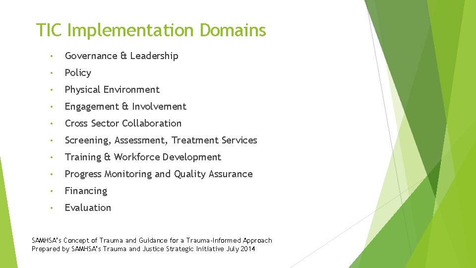 TIC Implementation Domains • Governance & Leadership • Policy • Physical Environment • Engagement