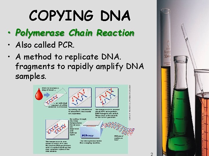 DNA Technology COPYING DNA Polymerase Chain Reaction Also