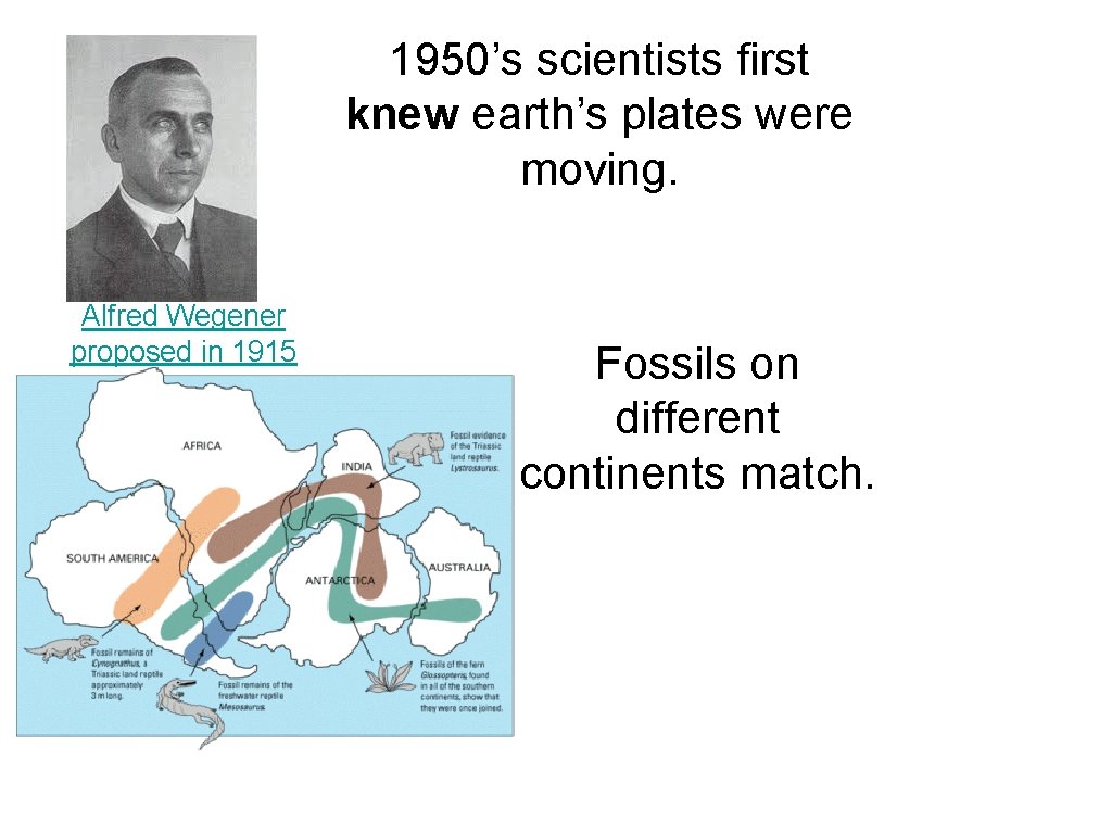 1950’s scientists first knew earth’s plates were moving. Alfred Wegener proposed in 1915 Fossils